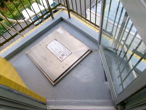 11/19 その他画像