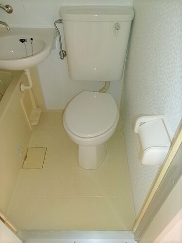 6/19 その他画像