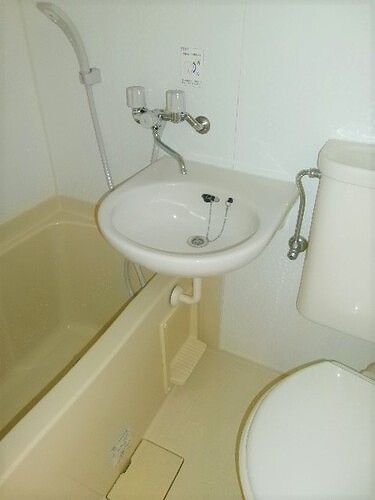 7/19 その他画像