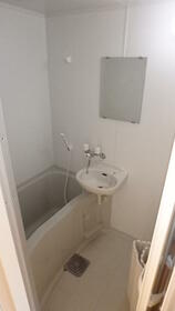 5/11 その他画像