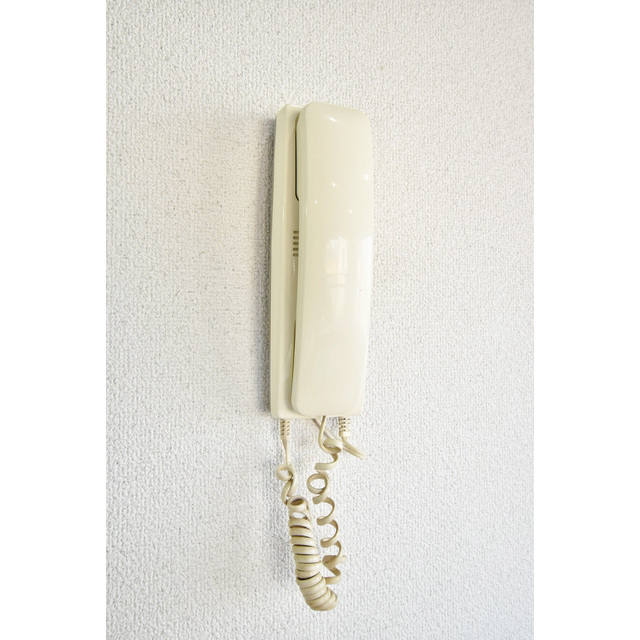 16/25 その他画像