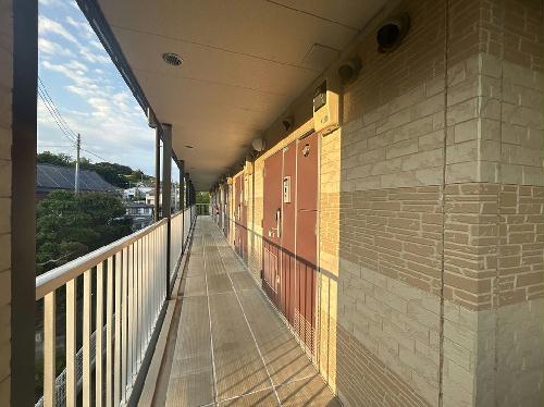 11/16 その他画像