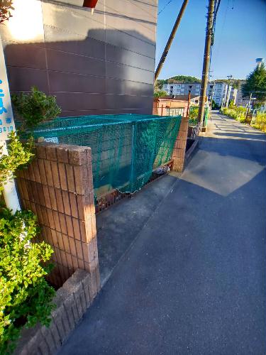 11/14 その他画像