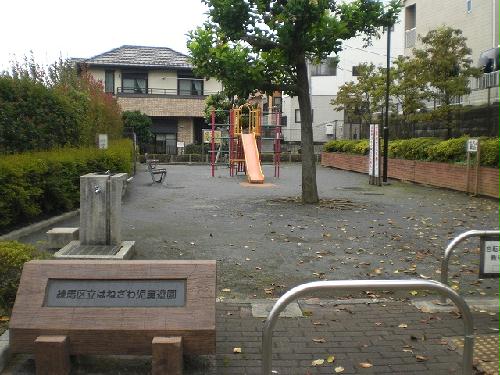 11/19 その他画像