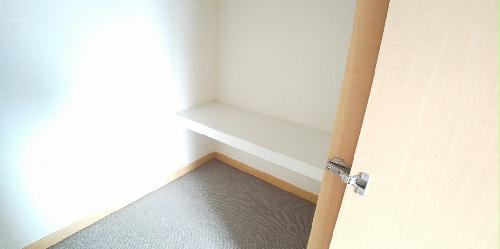 11/14 その他画像