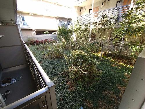 12/16 その他画像