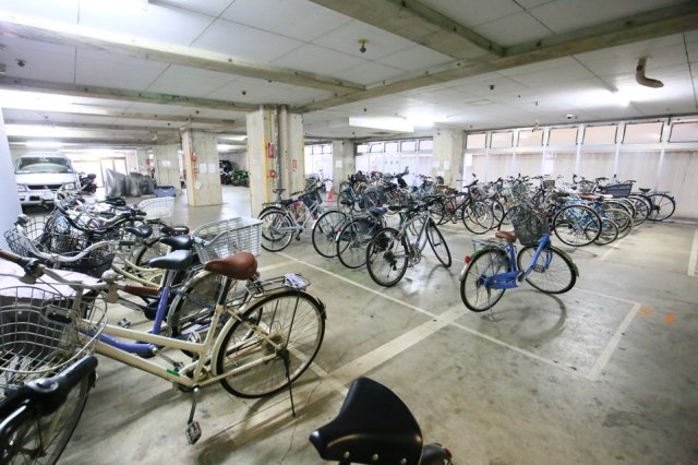 5/16 その他画像