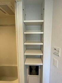 11/11 その他画像