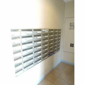 5/16 その他画像