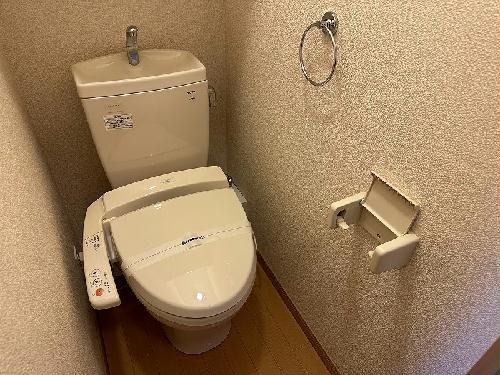 11/22 その他画像