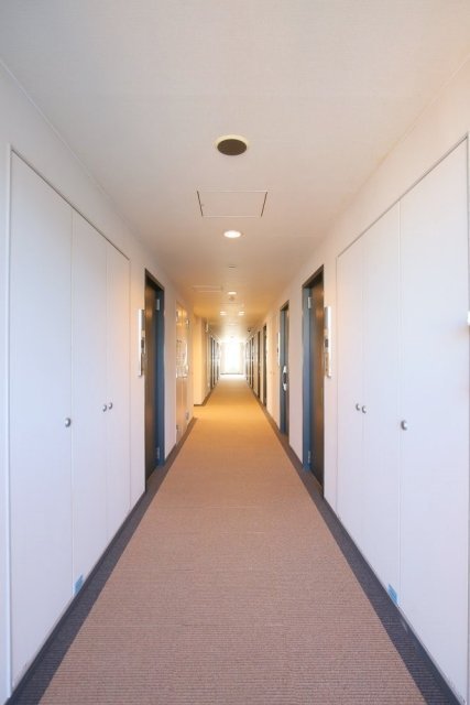 5/14 その他画像