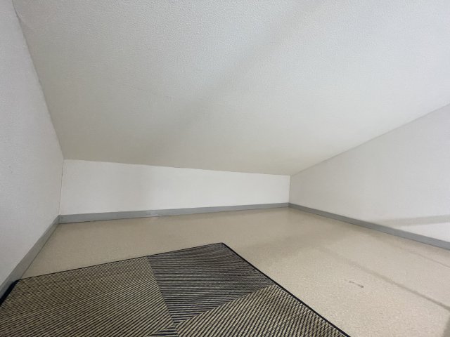 11/21 その他画像