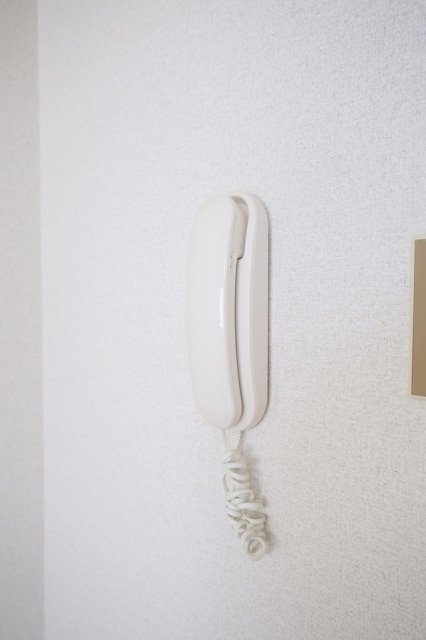 13/16 その他画像