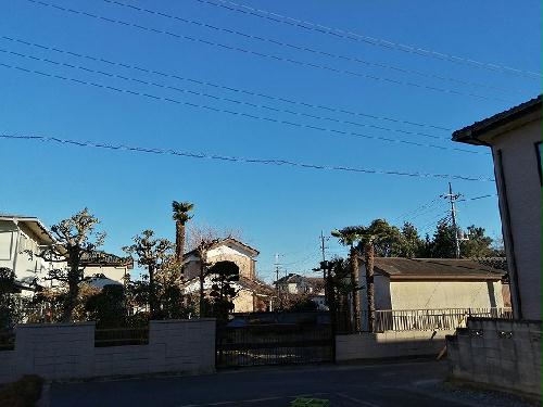 11/22 その他画像