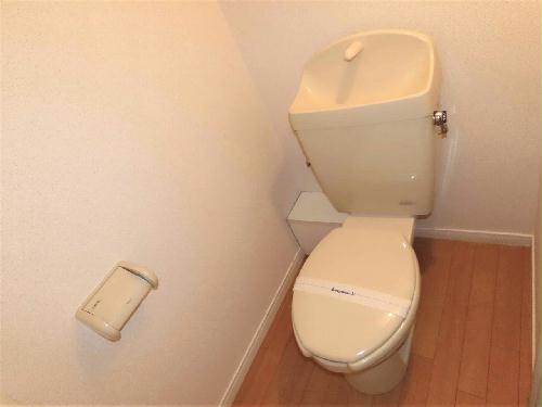 7/14 その他画像