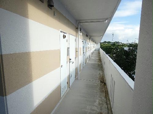 12/15 その他画像