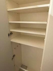 13/13 その他画像