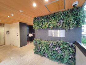 15/16 その他画像