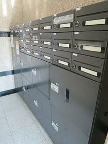 13/19 その他画像