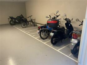 8/12 その他画像