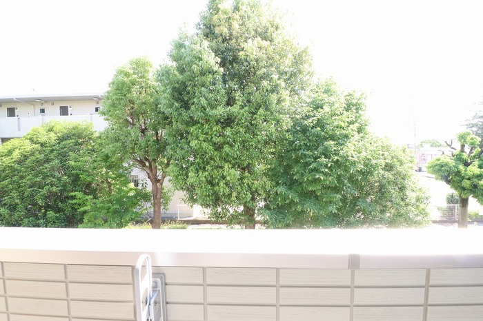 13/28 その他画像