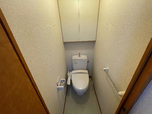 11/19 その他画像