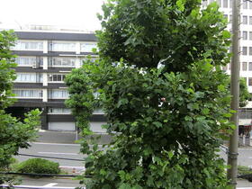 15/16 その他画像