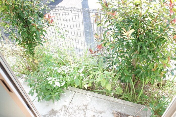 20/20 その他画像