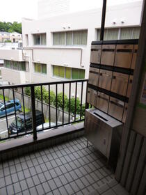 15/19 その他画像