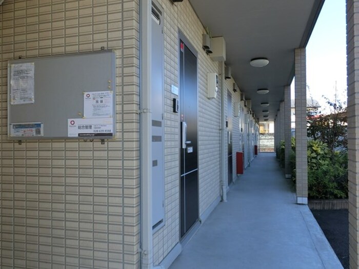 8/19 その他画像