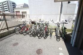 15/18 その他画像