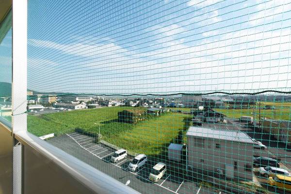 13/16 その他画像