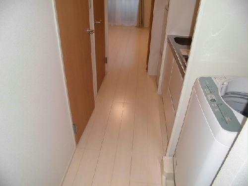 8/15 その他画像