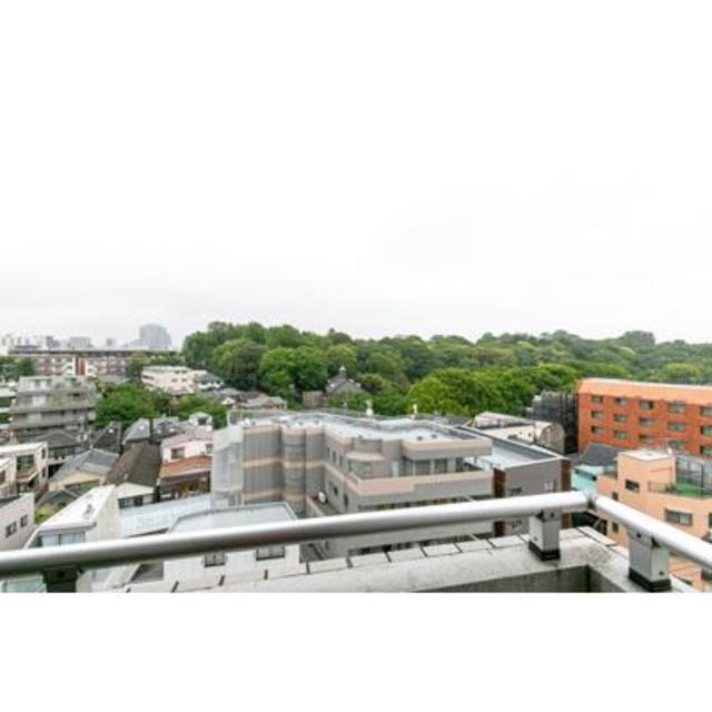 21/29 その他画像