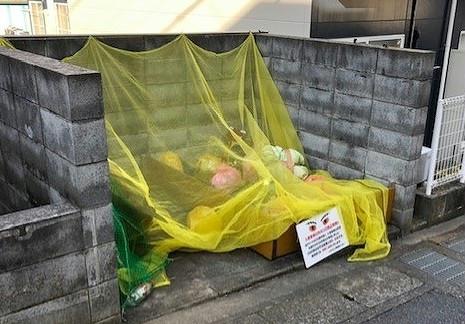 10/22 その他画像