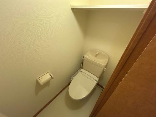 8/14 その他画像