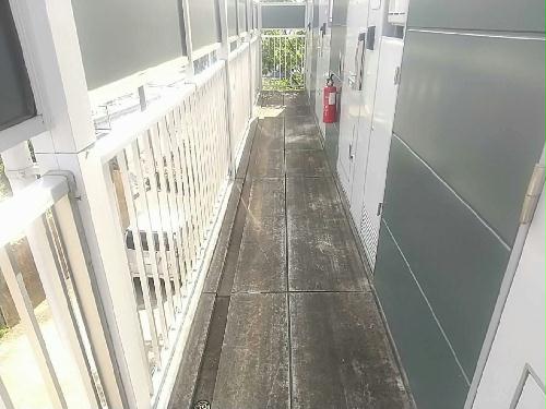 5/12 その他画像