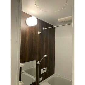 11/11 その他画像