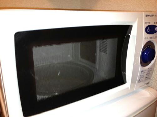 8/24 その他画像