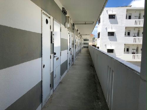 11/16 その他画像