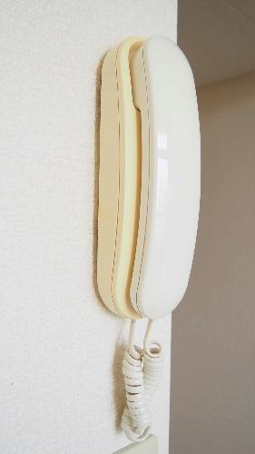 8/14 その他画像