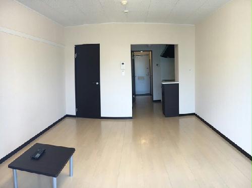 13/19 その他画像