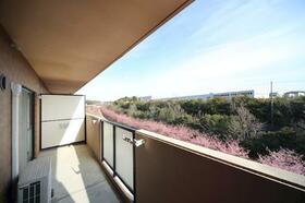 8/16 バルコニー