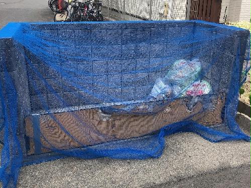 8/11 その他画像