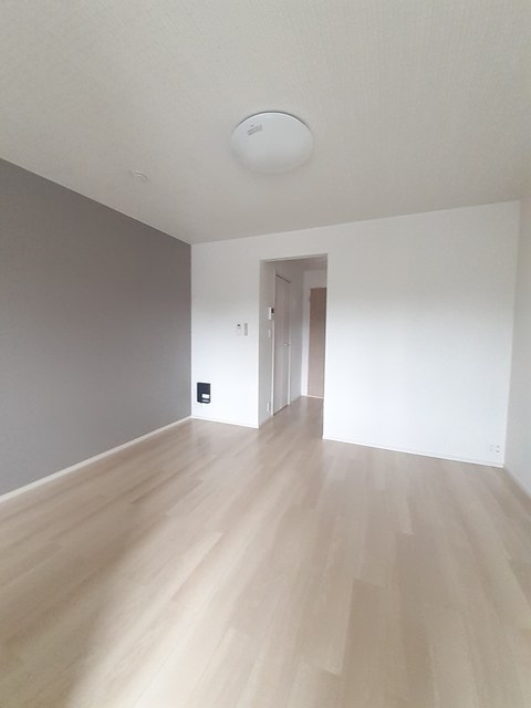 13/19 その他画像