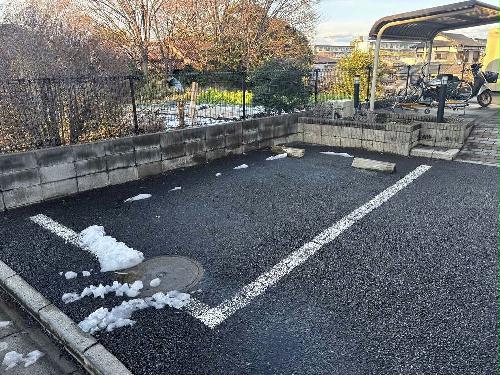 11/19 その他画像