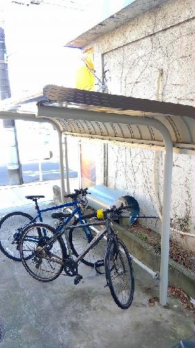 11/21 その他画像