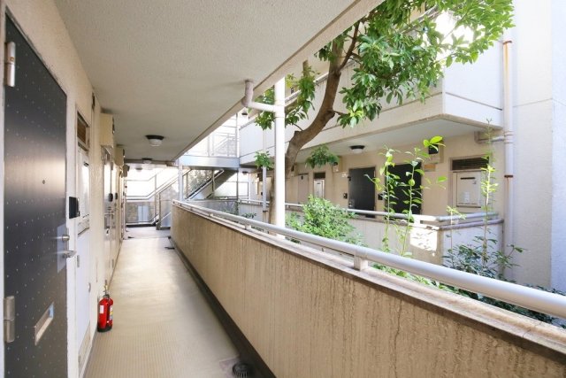 11/13 その他画像