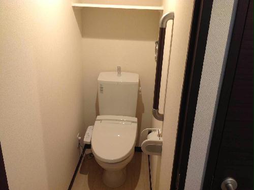 11/14 その他画像