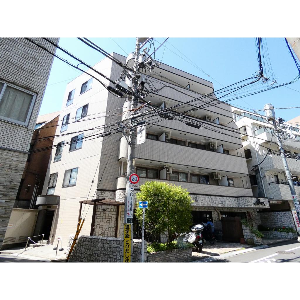 13/19 その他画像